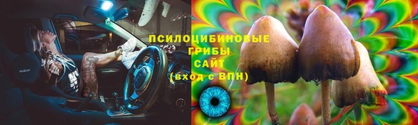 бошки Верхний Тагил